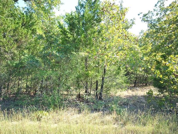 Lot 76 County Road 894 Drive, Jewett, TX 75846
