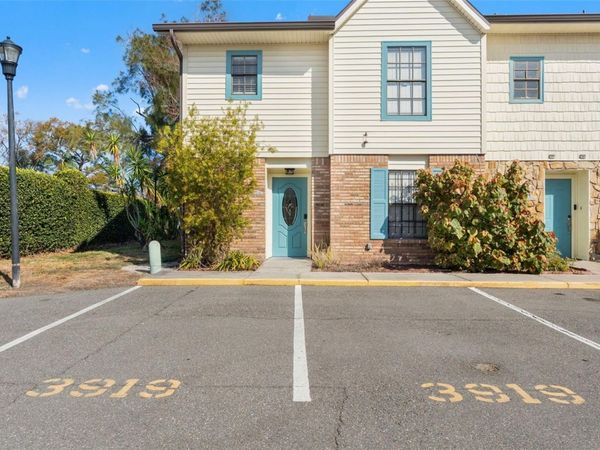 3919 CARROLL PINES COURT, TAMPA, FL 33614