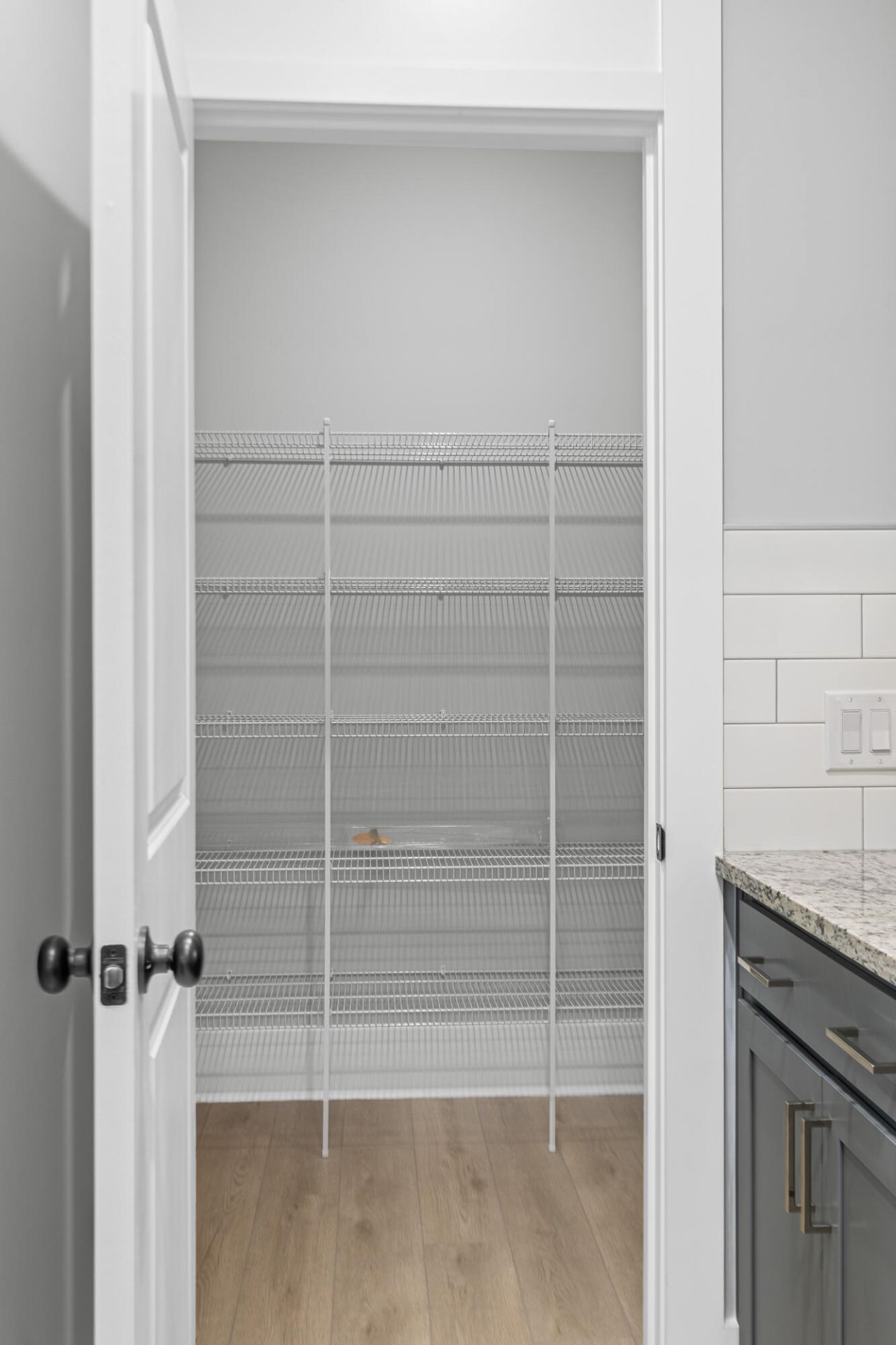 120 Black Stilt Way Photo 21