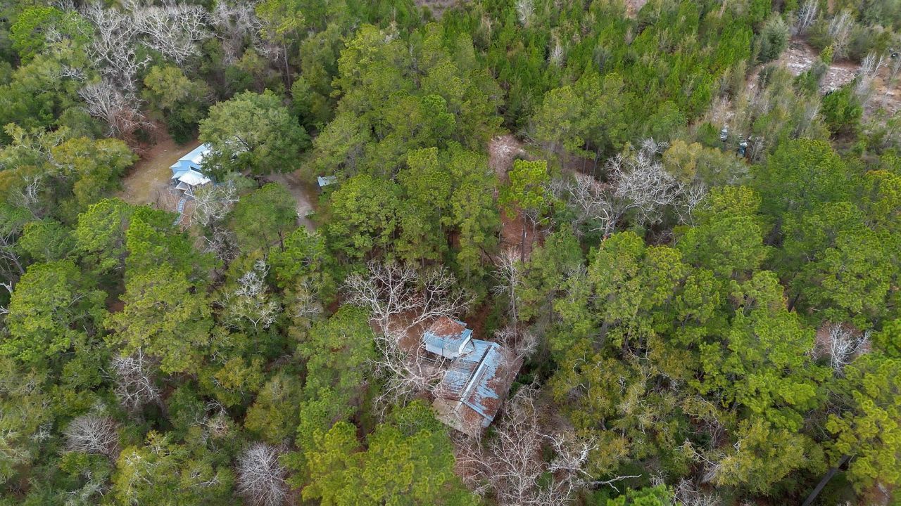32 Lainey Lane, Crawfordville, FL 32327 Photo