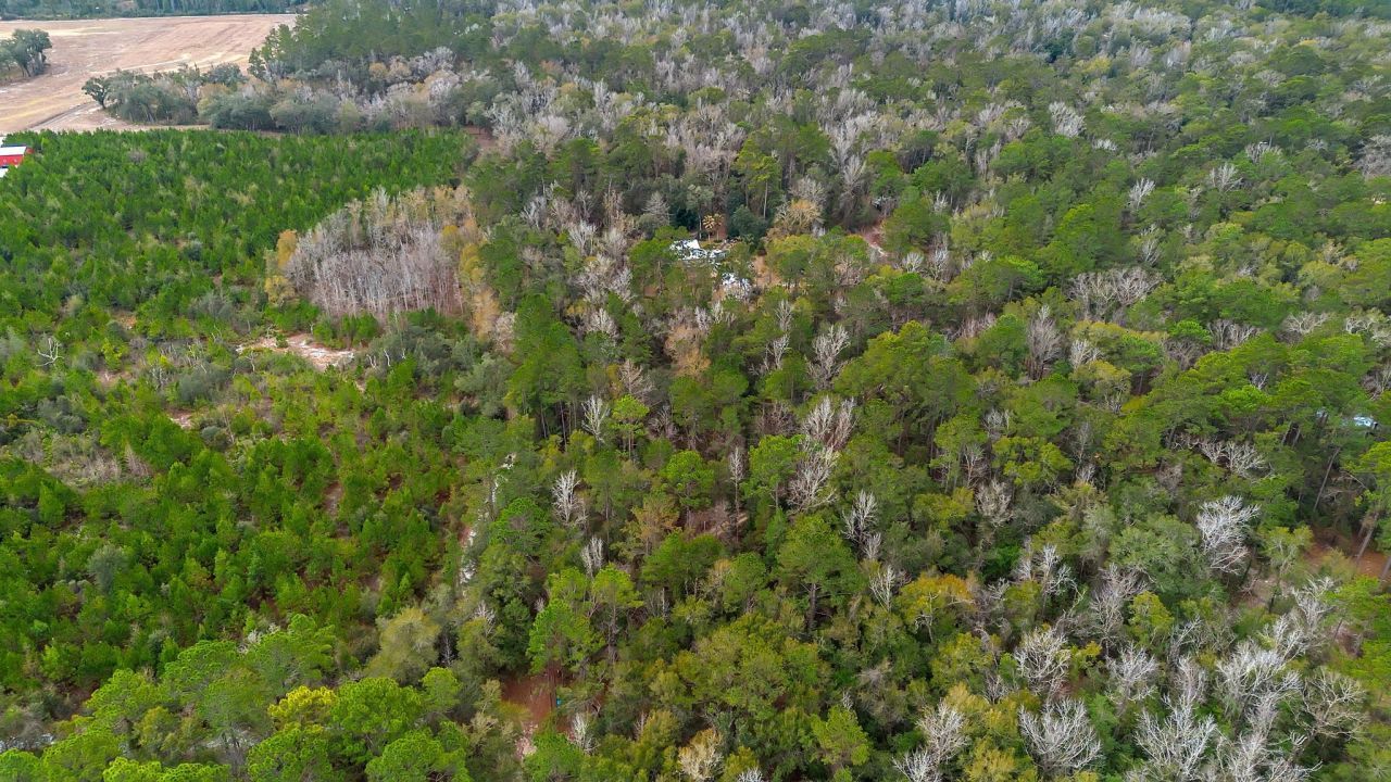 32 Lainey Lane, Crawfordville, FL 32327 Photo