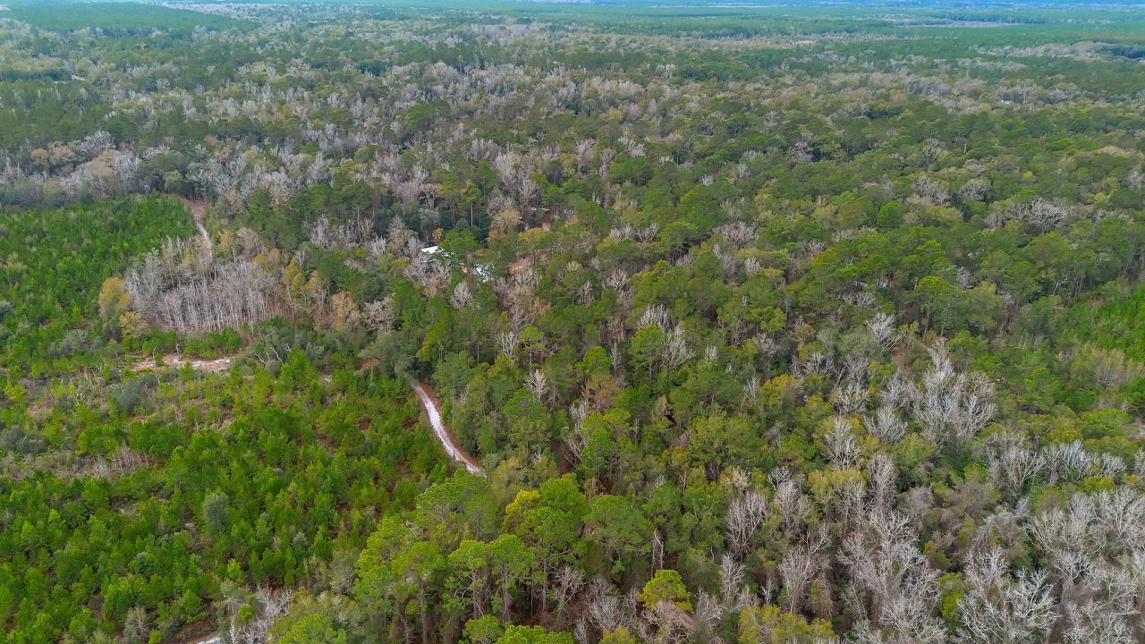 32 Lainey Lane, Crawfordville, FL 32327 Photo
