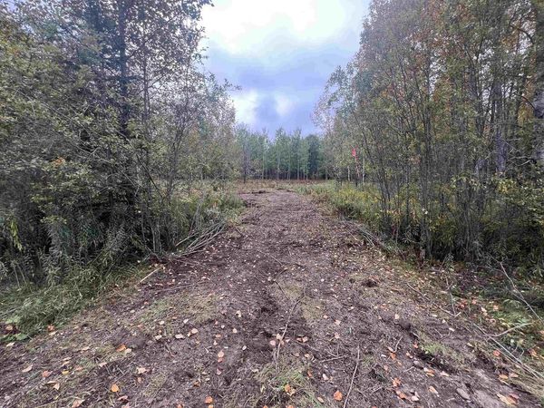 DREAM LAKE ROAD, Tipler, WI 54542