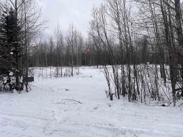 DREAM LAKE ROAD, Tipler, WI 54542