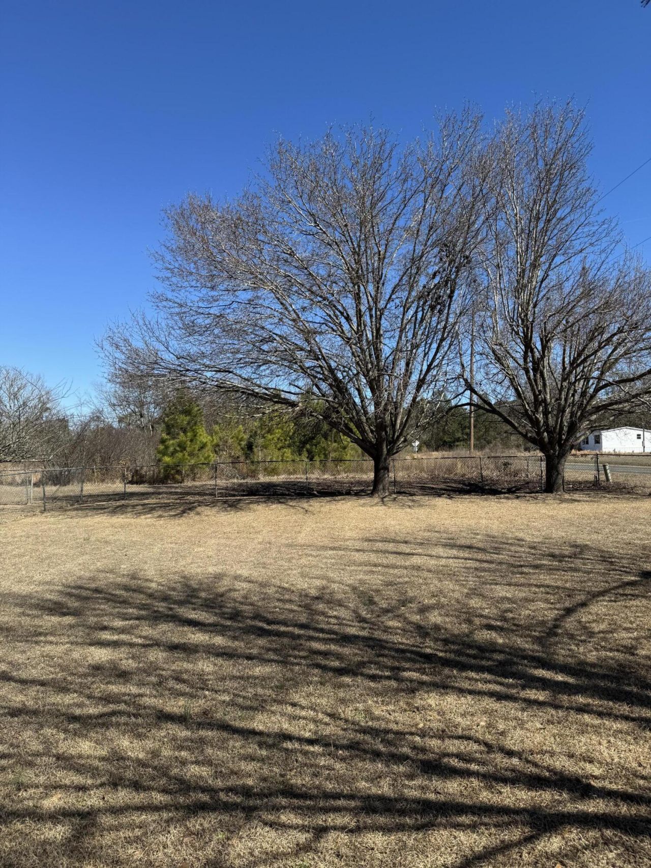 904 Samaria Road Photo 6