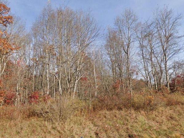 Morris Branch Road, Meadow Bridge, WV 25976