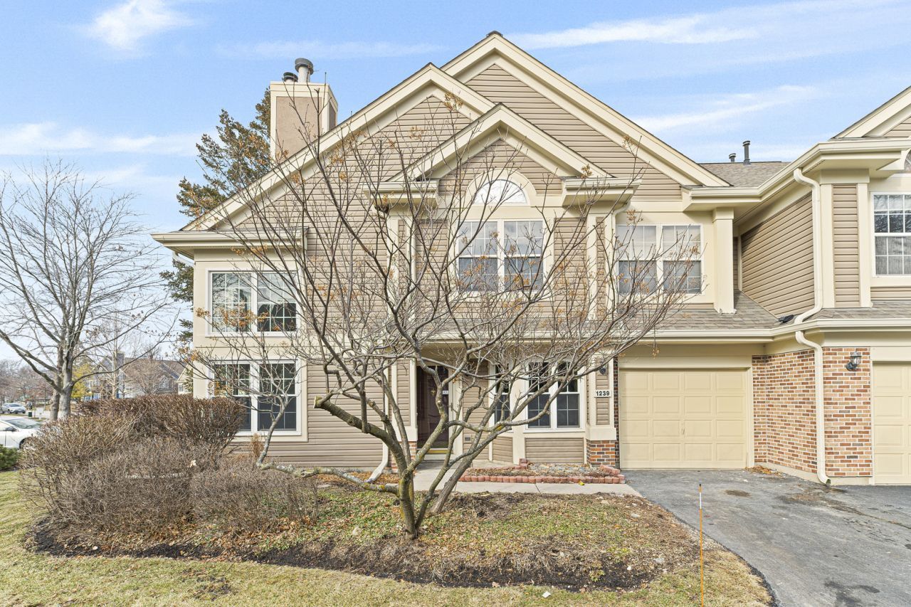 1239 Old Mill Lane, Elk Grove Village, IL 60007 Main Photo