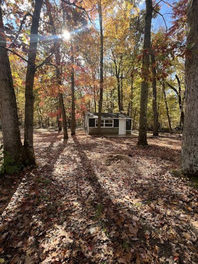 17323 Marian Street, Wellston, MI 49689 Main Photo