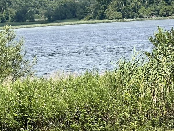 176 Green Bedell Road, Coxsackie, NY 12051