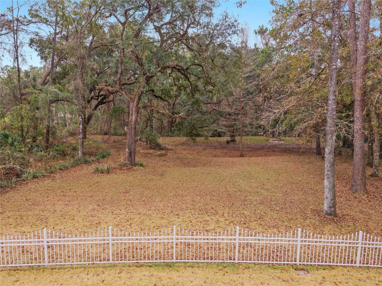 11121 NW 15th Place, Gainesville, FL 32606 Photo