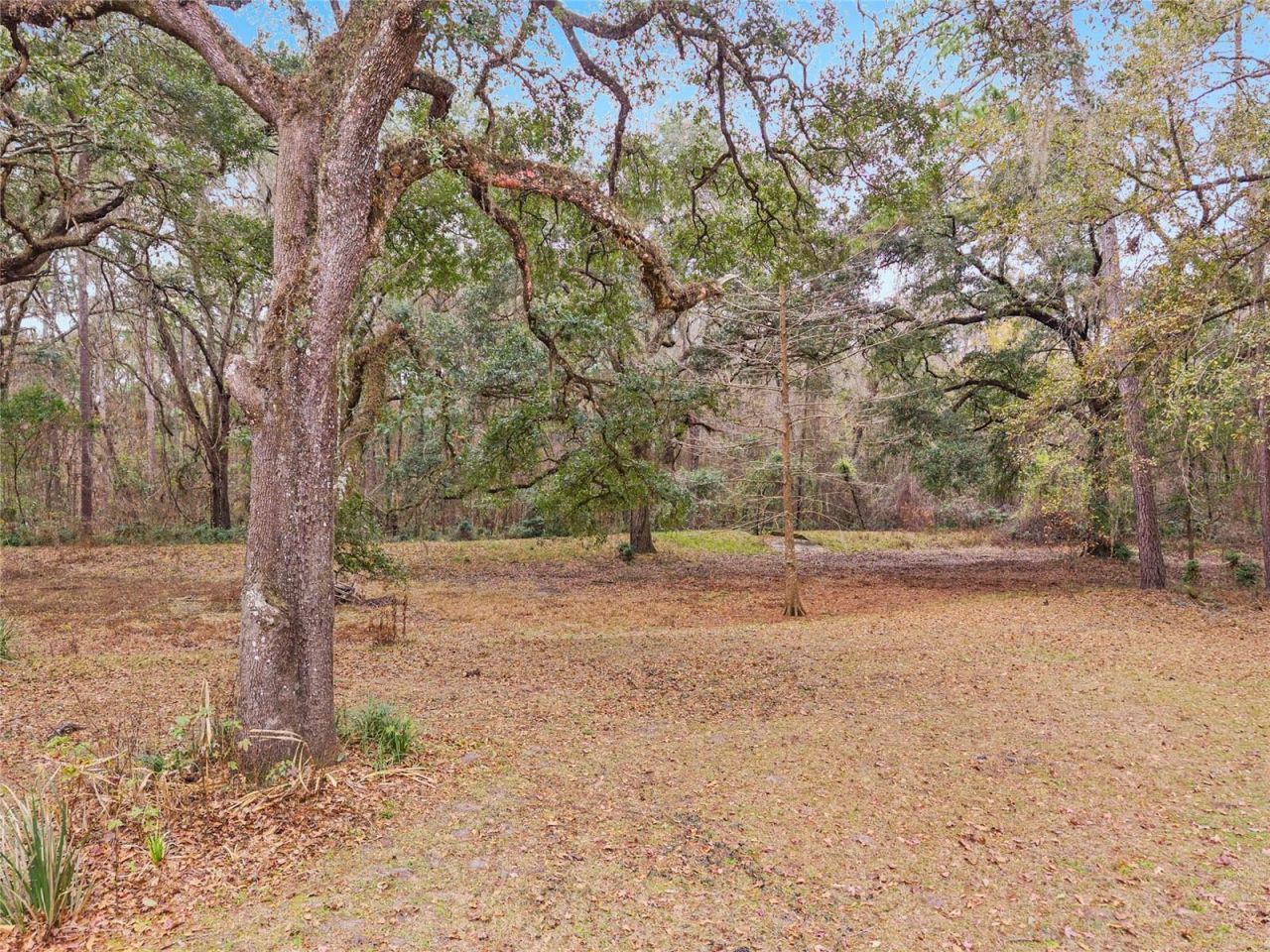 11121 NW 15th Place, Gainesville, FL 32606 Photo