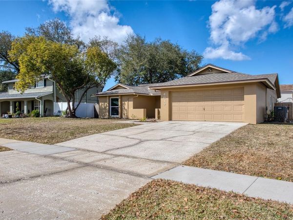 4017 BRAESGATE LANE, TAMPA, FL 33624