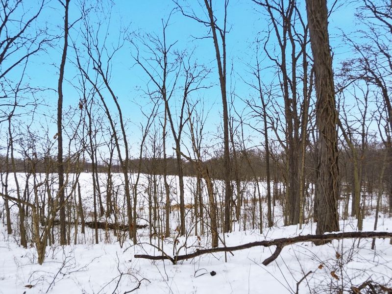 3000 S Sunderland Road, Lima, OH 45806 Photo 87