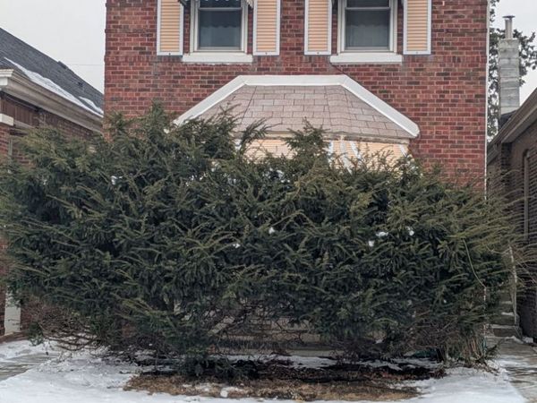 8421 S Paulina Street, Chicago, IL 60620