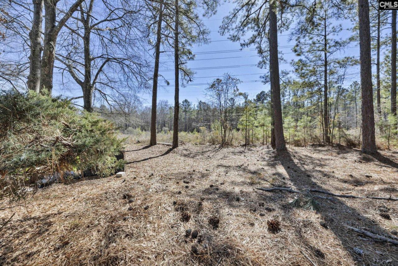 29a Battery Walk Court  Photo 31