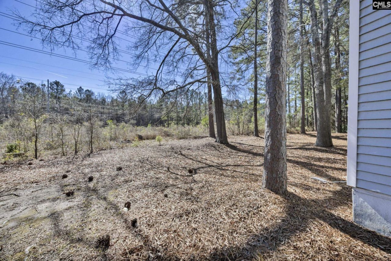 29a Battery Walk Court  Photo 32