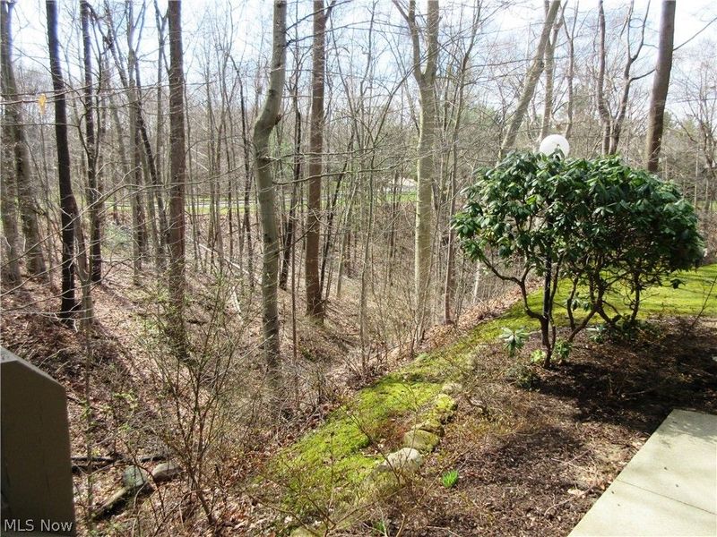 2178 Stone Creek Trail, Cuyahoga Falls, OH 44223 Photo 36