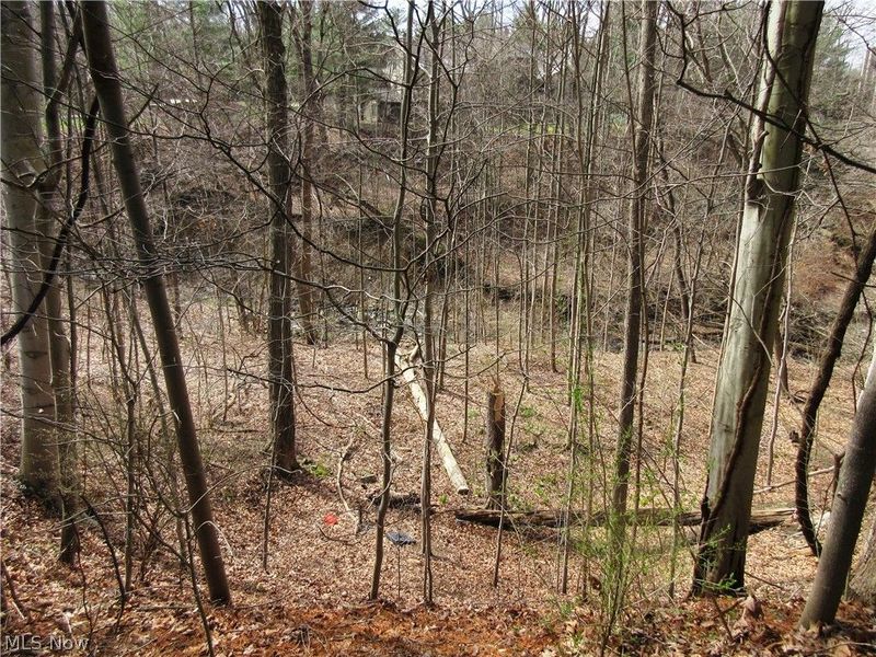 2178 Stone Creek Trail, Cuyahoga Falls, OH 44223 Photo 5