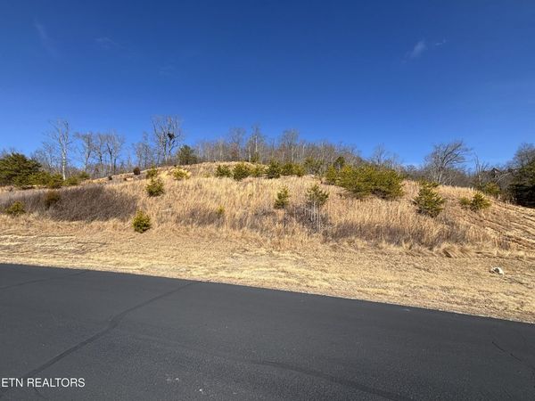 W Mountain Drive, Rockwood, TN 37854