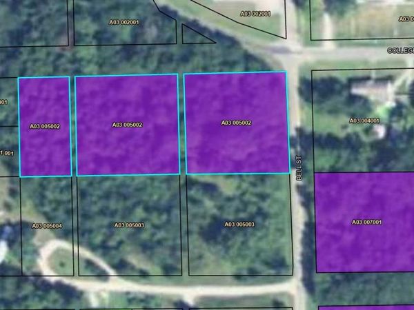 103 Bell Street, Abbeville, GA 31001