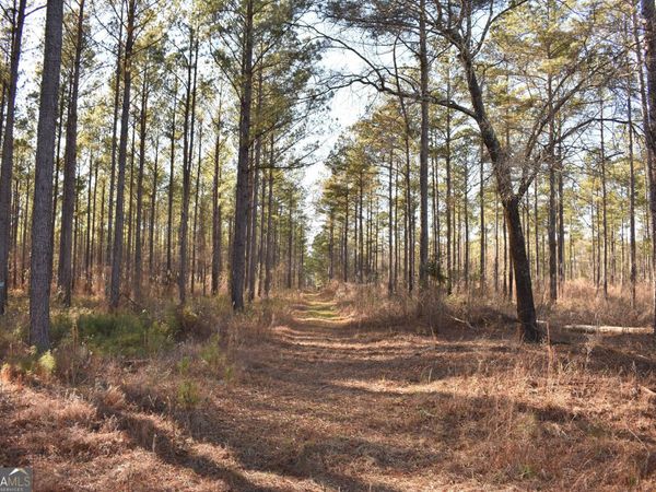 0 Bancroft Road, Blakely, GA 39823
