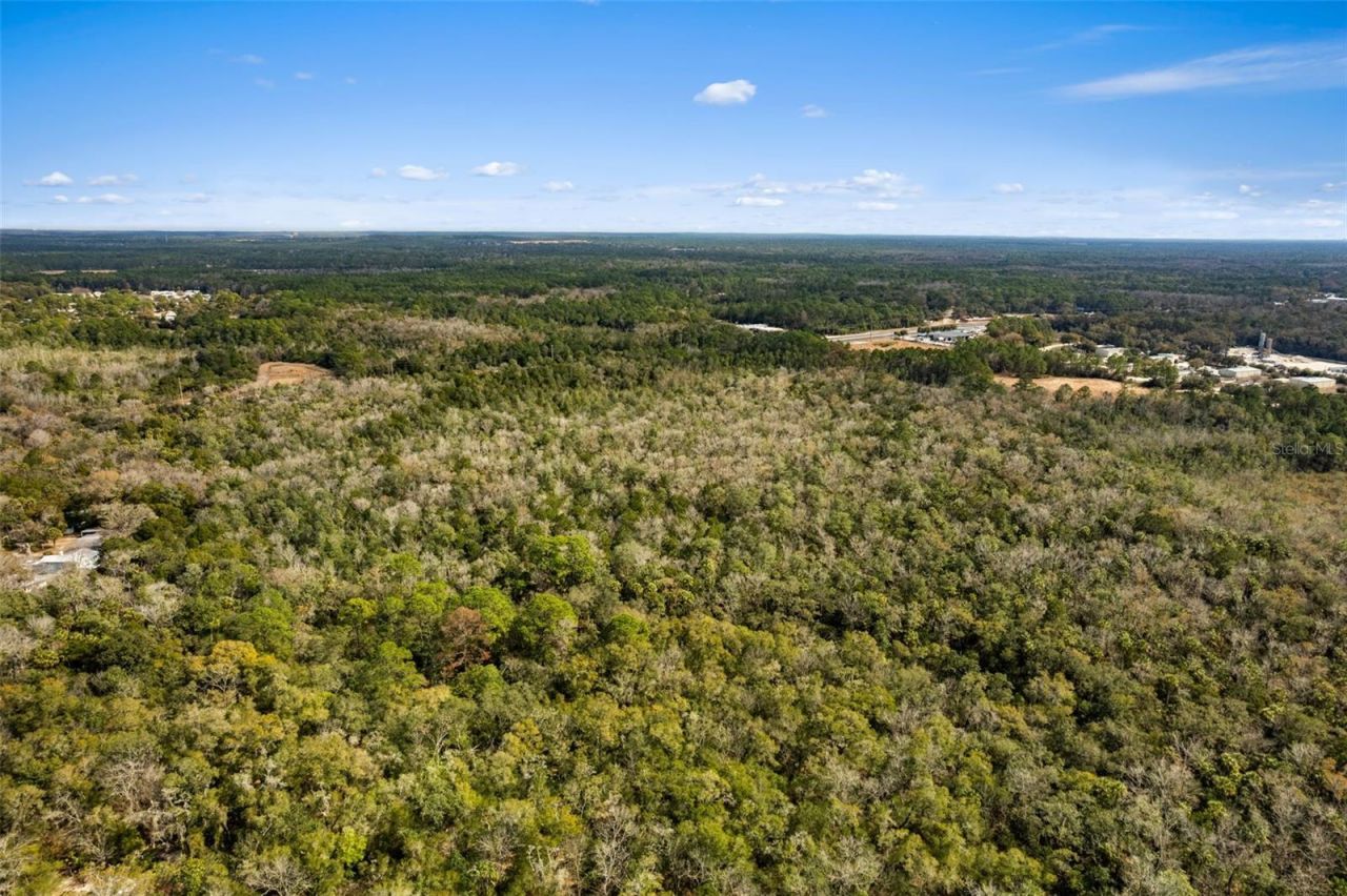 2872 S Suncoast Boulevard, Homosassa, FL 34448 Photo