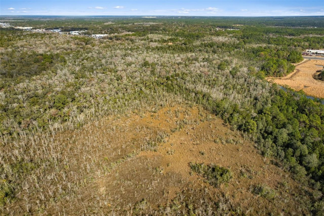 2872 S Suncoast Boulevard, Homosassa, FL 34448 Photo