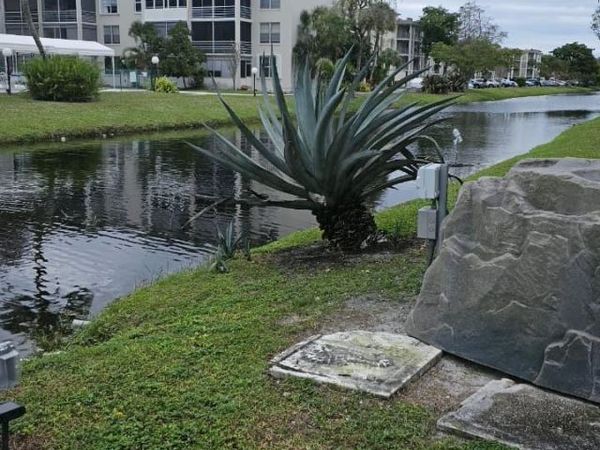 4851 NW 26th Court, Unit 342, Lauderdale Lakes, FL 33313