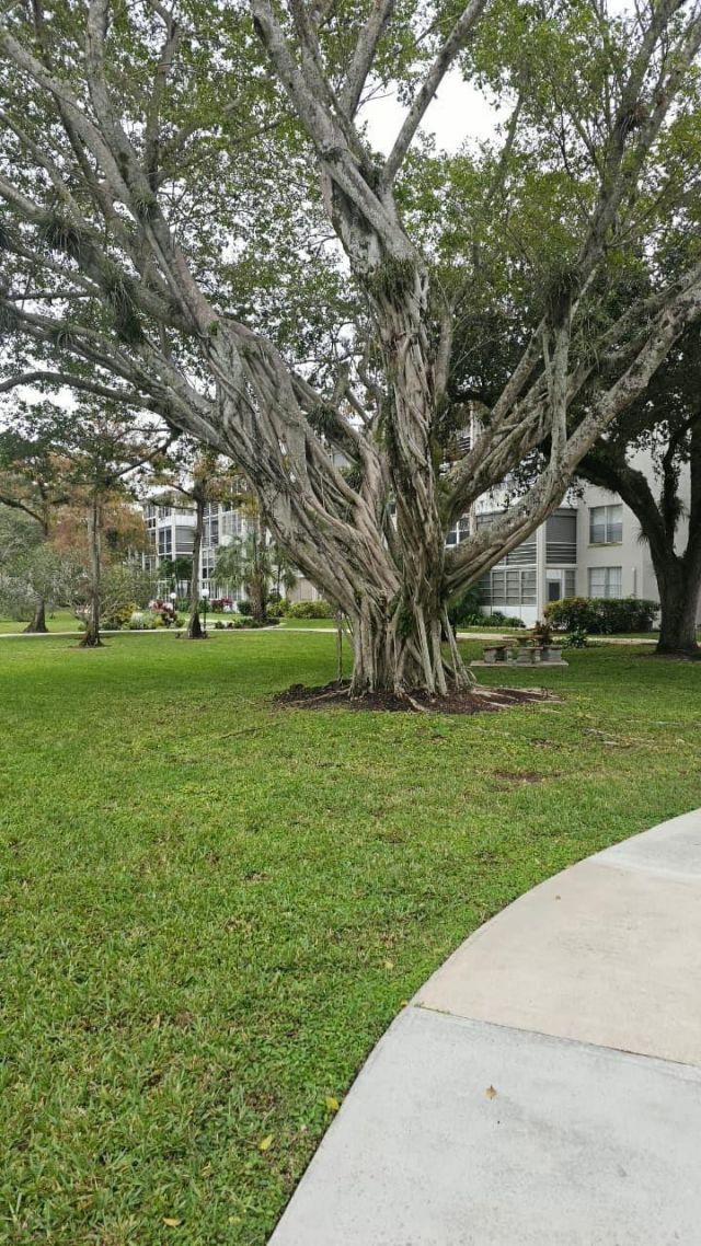 4851 NW 26th Court, Unit 342, Lauderdale Lakes, FL 33313 Photo