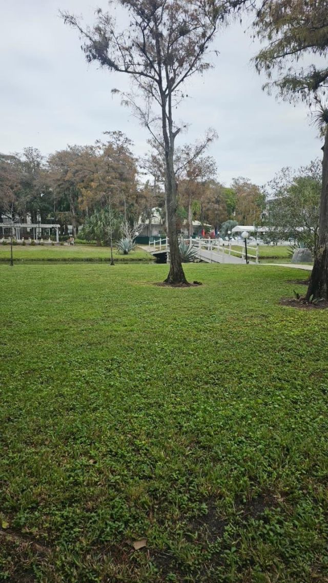 4851 NW 26th Court, Unit 342, Lauderdale Lakes, FL 33313 Photo