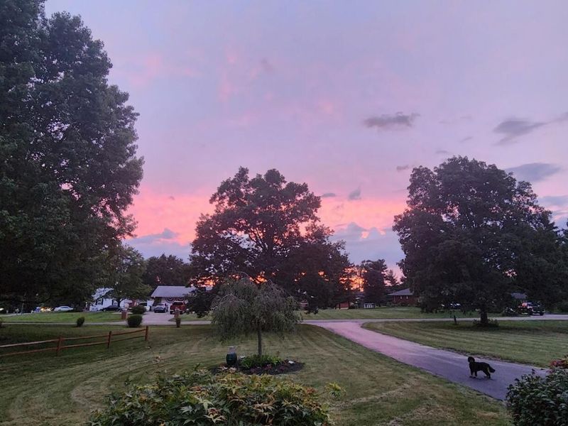 263 International Drive, Pataskala, OH 43062 Photo 39