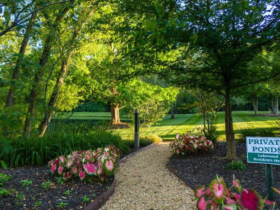 Property Image 74