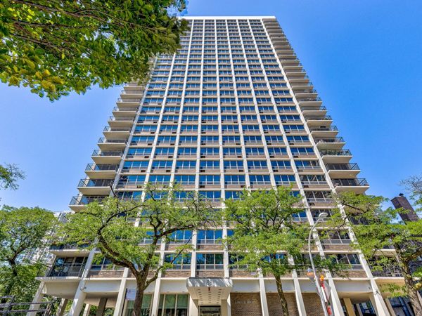88 W Schiller Street, Unit 2602, Chicago, IL 60610