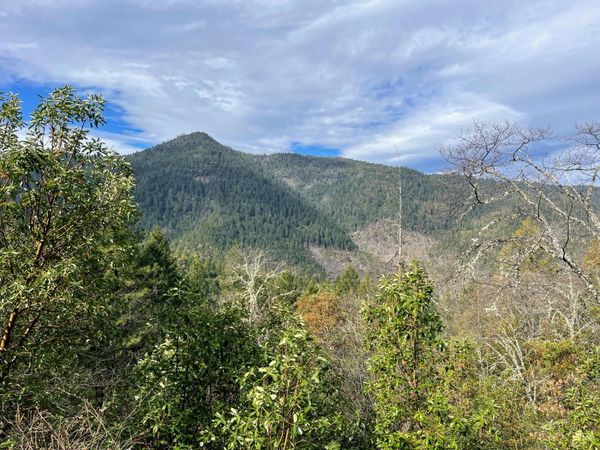 0 Savage Creek Rd TL2502, Rogue River, OR 97537