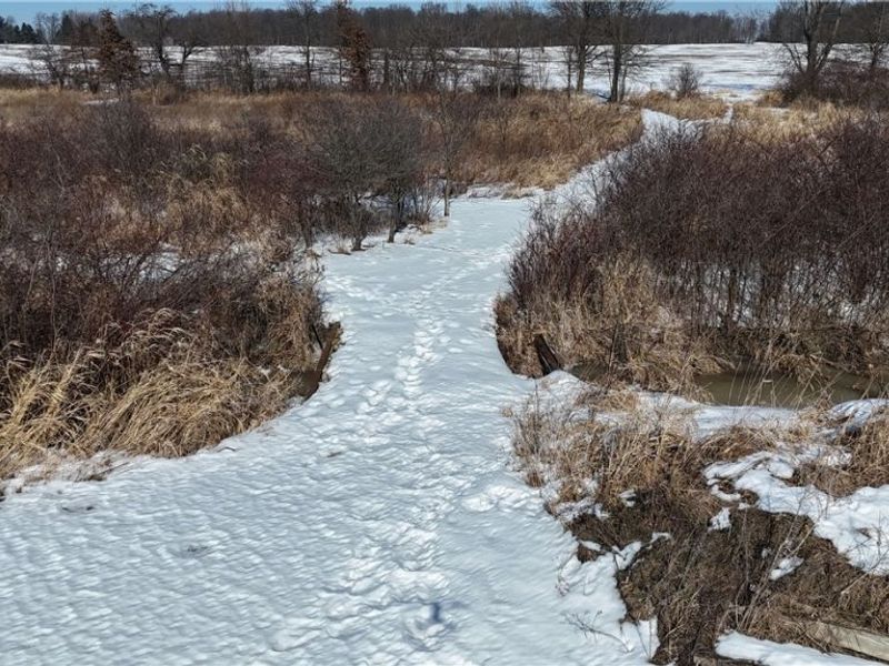 762 Township Road 150, Sullivan, OH 44880 Photo 38