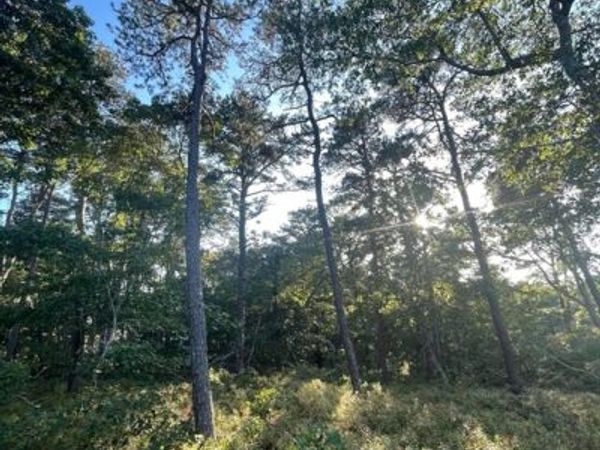 30 Sam Hollow Road, Wellfleet, MA 02667