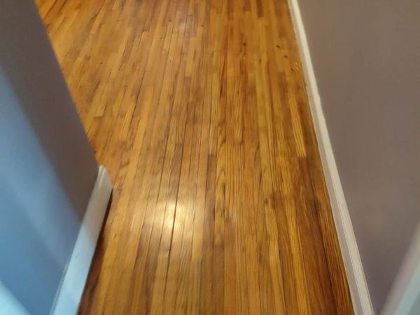 449 Bolton Avenue, Unit 2, Bronx, NY 10473