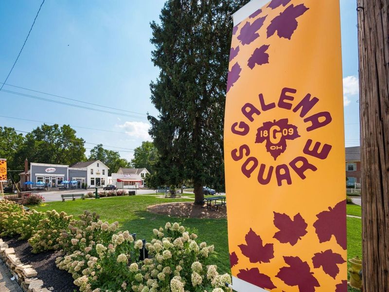 565 Parker Run, Galena, OH 43021 Photo 39