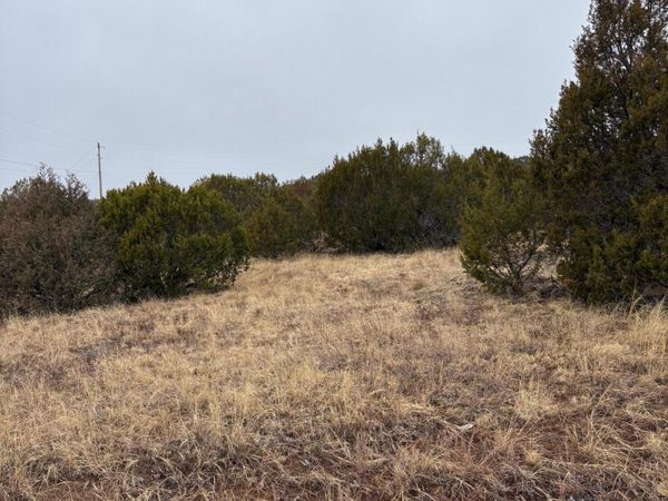 90 Jesse James Road , Edgewood, NM 87015