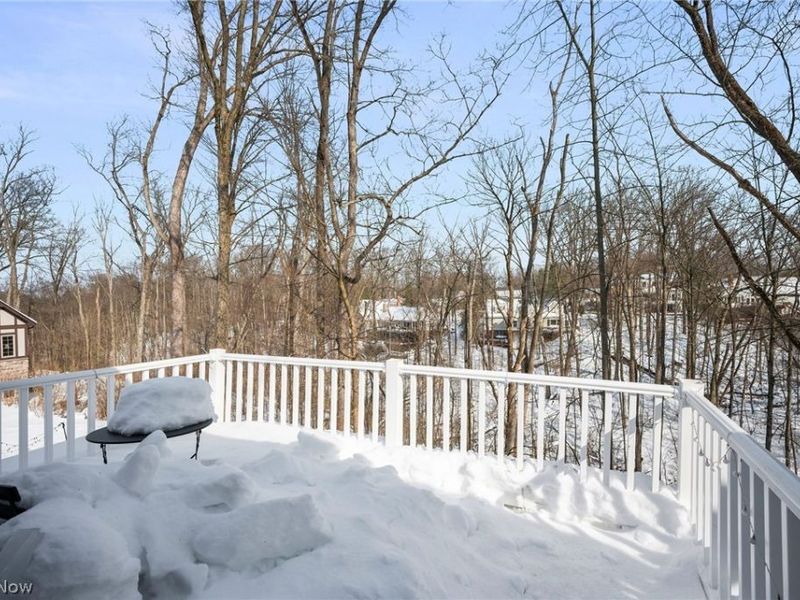 270 Chagrin Boulevard, Chagrin Falls, OH 44022 Photo 27