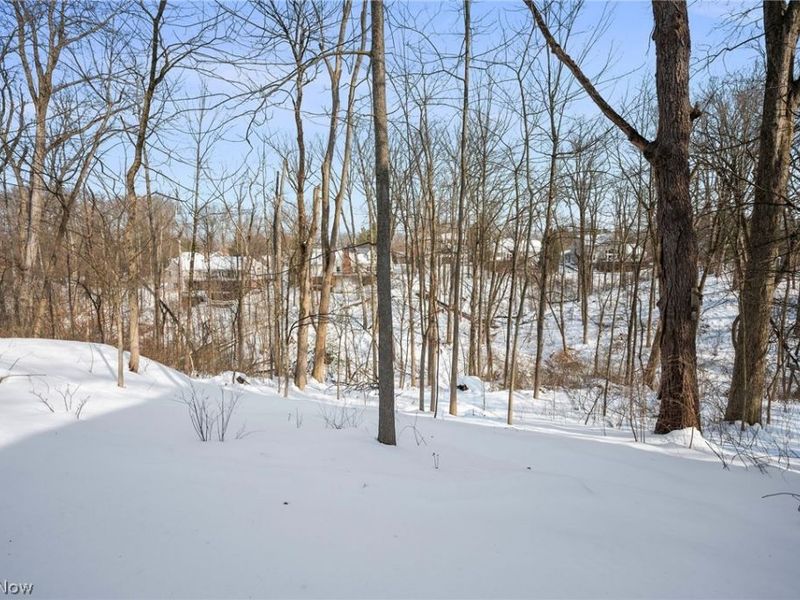 270 Chagrin Boulevard, Chagrin Falls, OH 44022 Photo 37