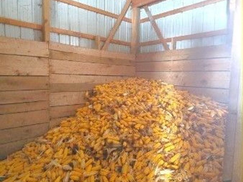 4194 Helsley Fusselman Road, Southington, OH 44470 Photo 41