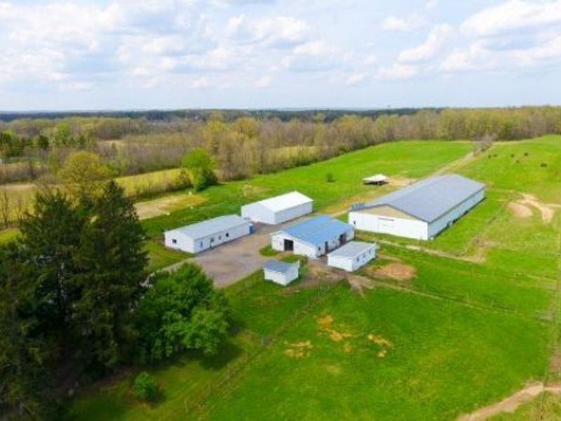 4194 Helsley Fusselman Road, Southington, OH 44470 Photo 43