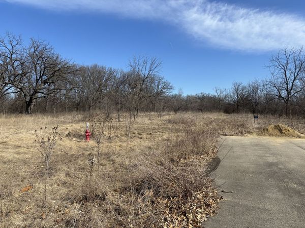 Lot 130 & Lot 131 Chippewa Trail, Albany, IL 61230