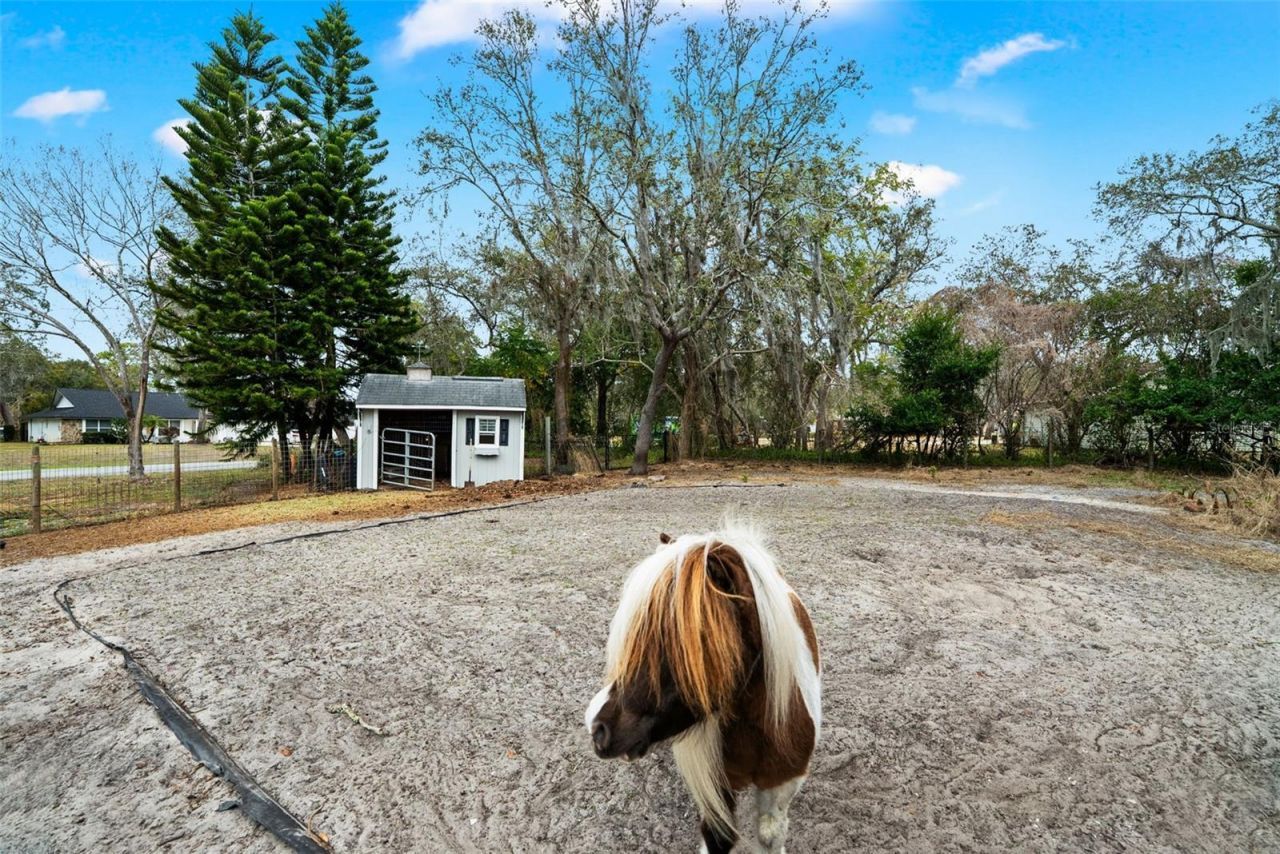 6568 Millstone Drive, New Port Richey, FL 34655 Photo