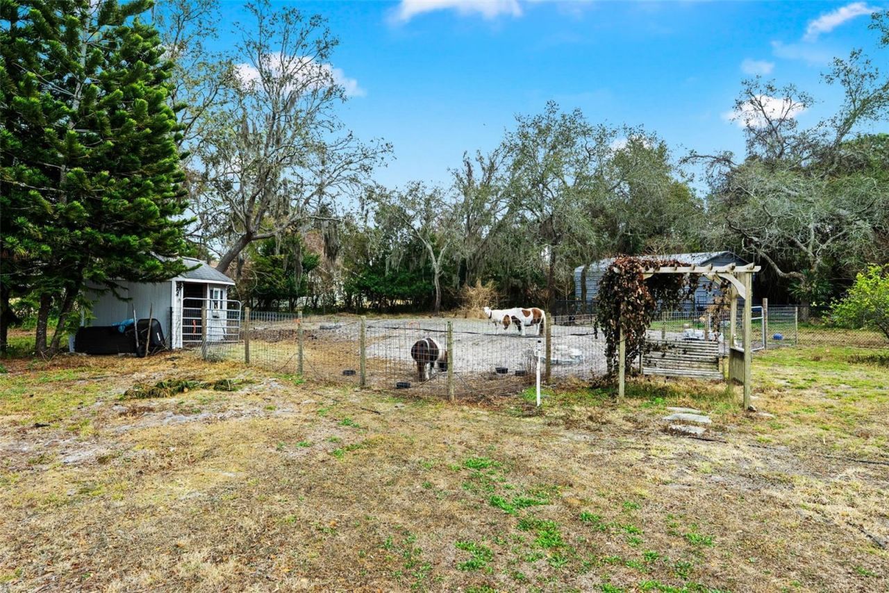 6568 Millstone Drive, New Port Richey, FL 34655 Photo