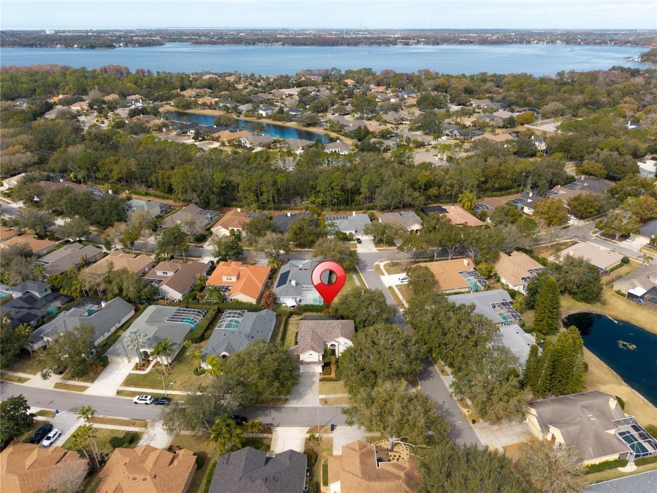 5292 Kernwood Court, Palm Harbor, FL 34685 Photo