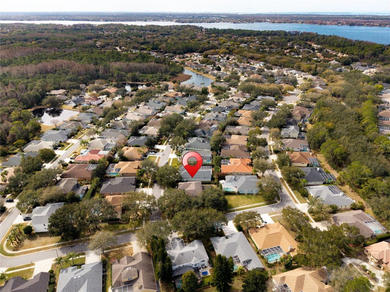 5292 Kernwood Court, Palm Harbor, FL 34685 Photo