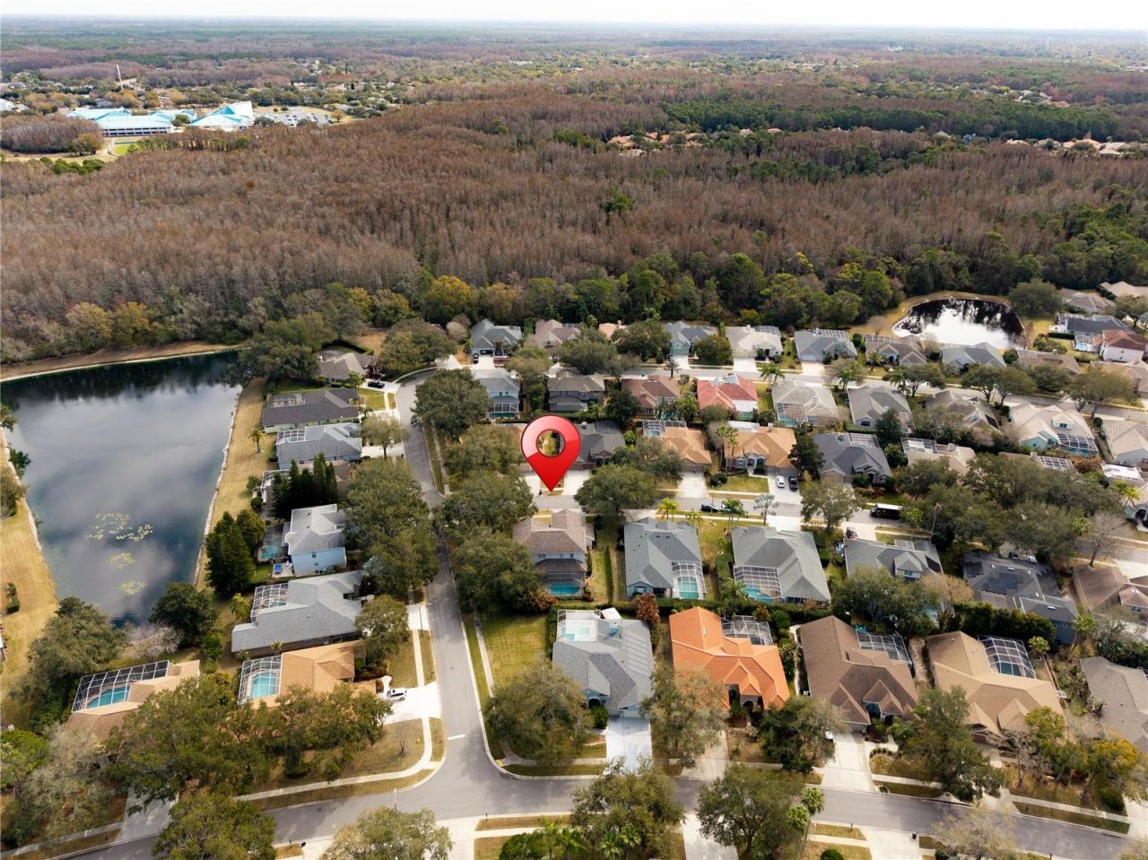 5292 Kernwood Court, Palm Harbor, FL 34685 Photo