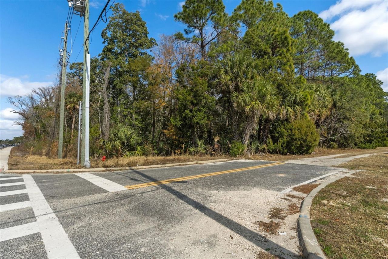 8541 W Faust Lane, Homosassa, FL 34448 Photo